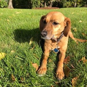 Meet your Posher, Rachel